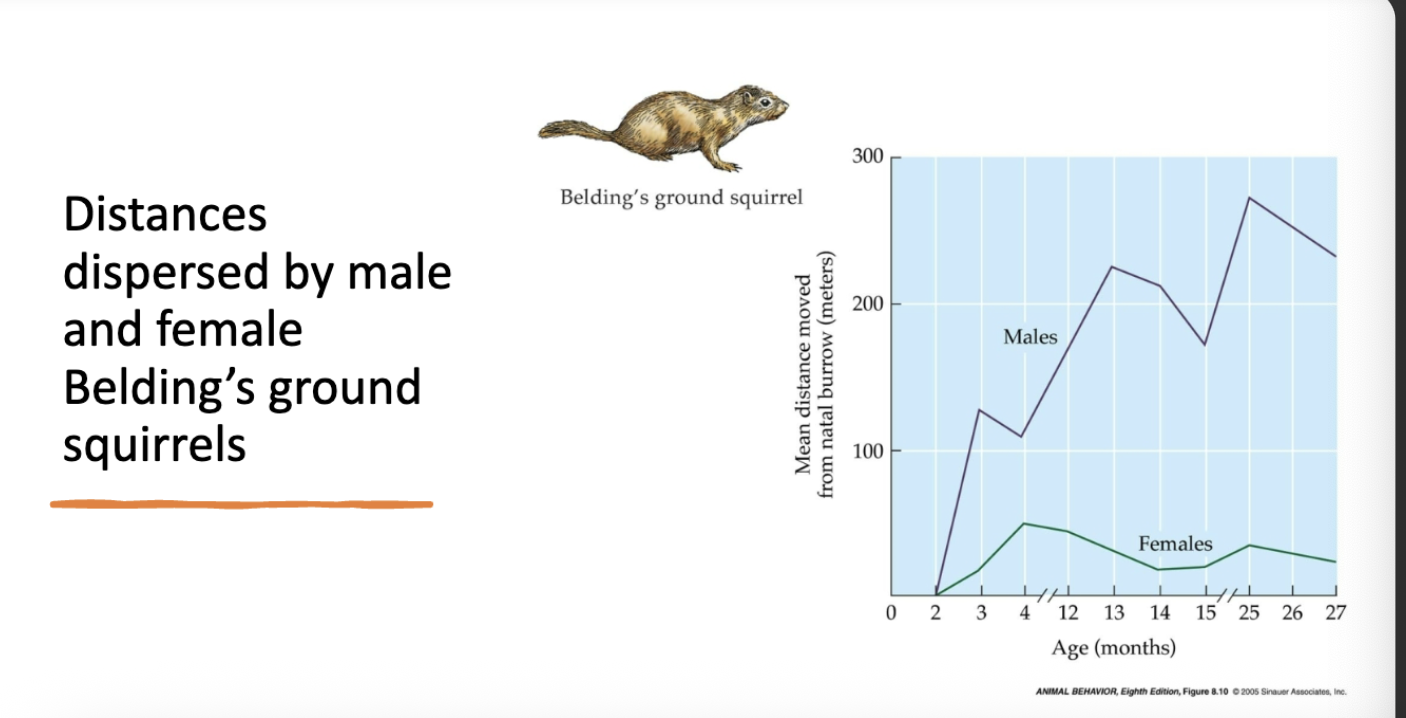 <p>explain this graph </p>