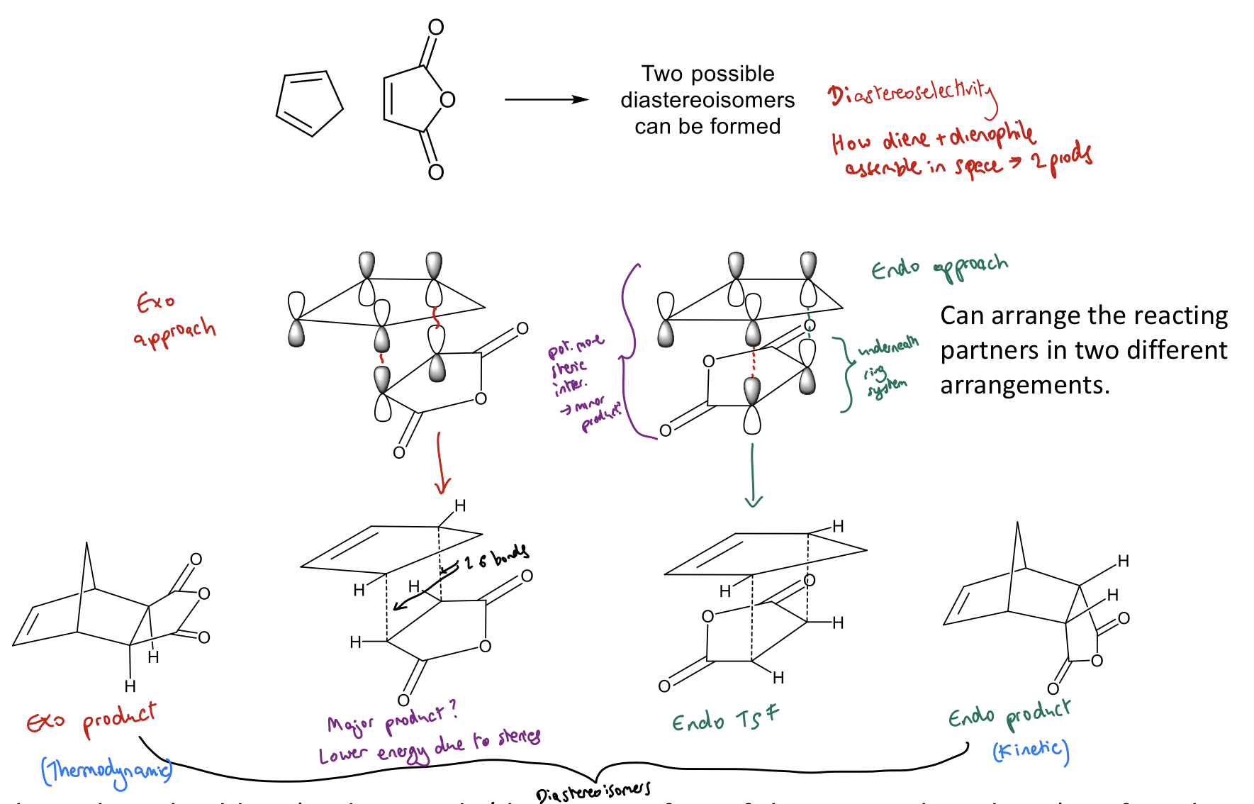 <p>Kinetic (endo) versus thermodynamic (exo) control</p><ul><li><p>2 possible diastereoisomers formed (endo and exo)</p></li><li><p>Endo-cycloadduct often kinetically favoured</p></li></ul><p></p>