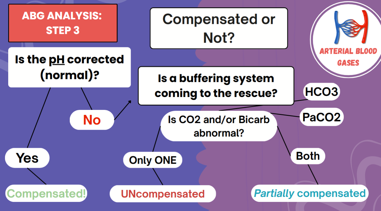 <p>What are the steps to ABG Analysis? (What are the questions you need to ask?)</p>