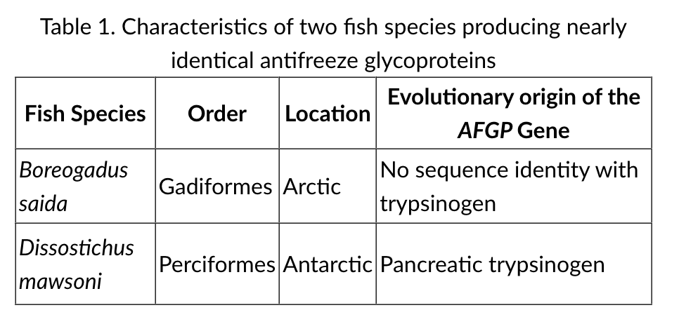 <p>Two species of fish that live in extremely cold environments produce near-identical antifreeze glycoproteins, called AFGPs. Scientists have determined the origins of the AFGP gene in both species. Selected characteristics of the two fish species are provided in Table 1.<br><br>Based on the information in Table 1, which of the following statements best describes the production of nearly identical AFGPs in these two species of fish?</p>