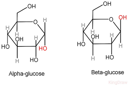 <p><strong>Similarities</strong>:</p><p>Hexose ring structure </p><p>Same molecular formula - C<sub>6</sub>H<sub>12</sub>O<sub>6</sub></p><p>Same structure on C<sub>2,3,4,5 + 6</sub></p><p><strong>Difference</strong>:</p><p>Alpha - C<sub>1 </sub>has same position of OH and H as C<sub>4</sub> (OH below)</p><p>Beta - C<sub>1</sub> has opposite position of OH and H as C<sub>4</sub> (OH above)</p>