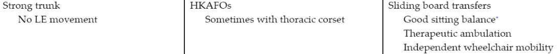<p>Which motor spinal cord segment is involved</p>