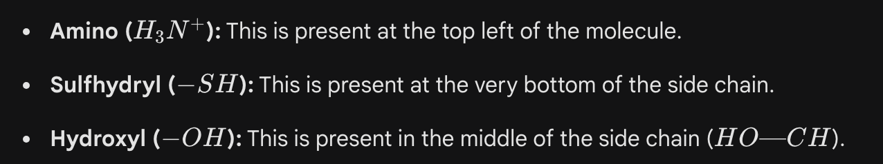 <p>Carboxylic acid</p>