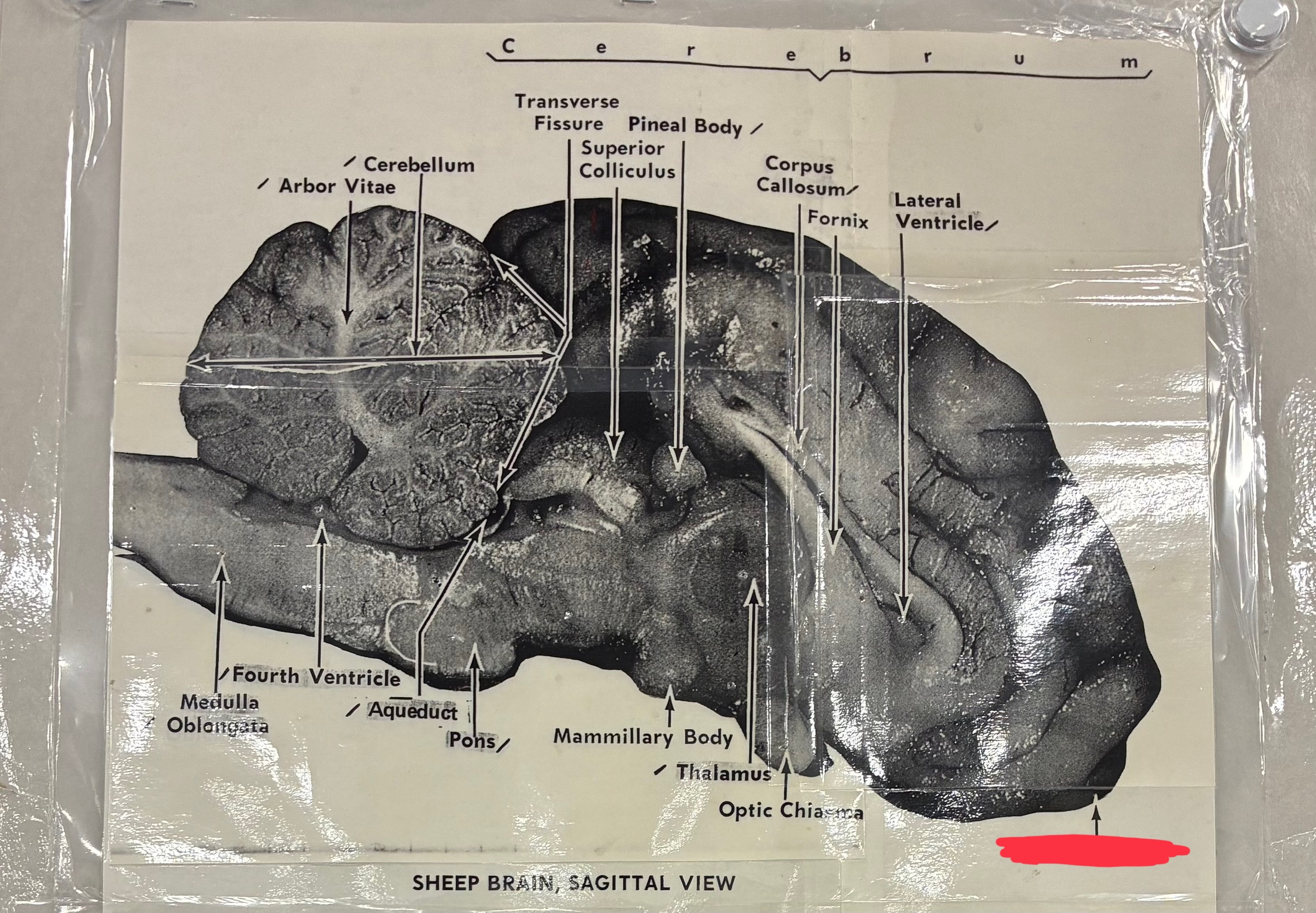 <p>?</p>