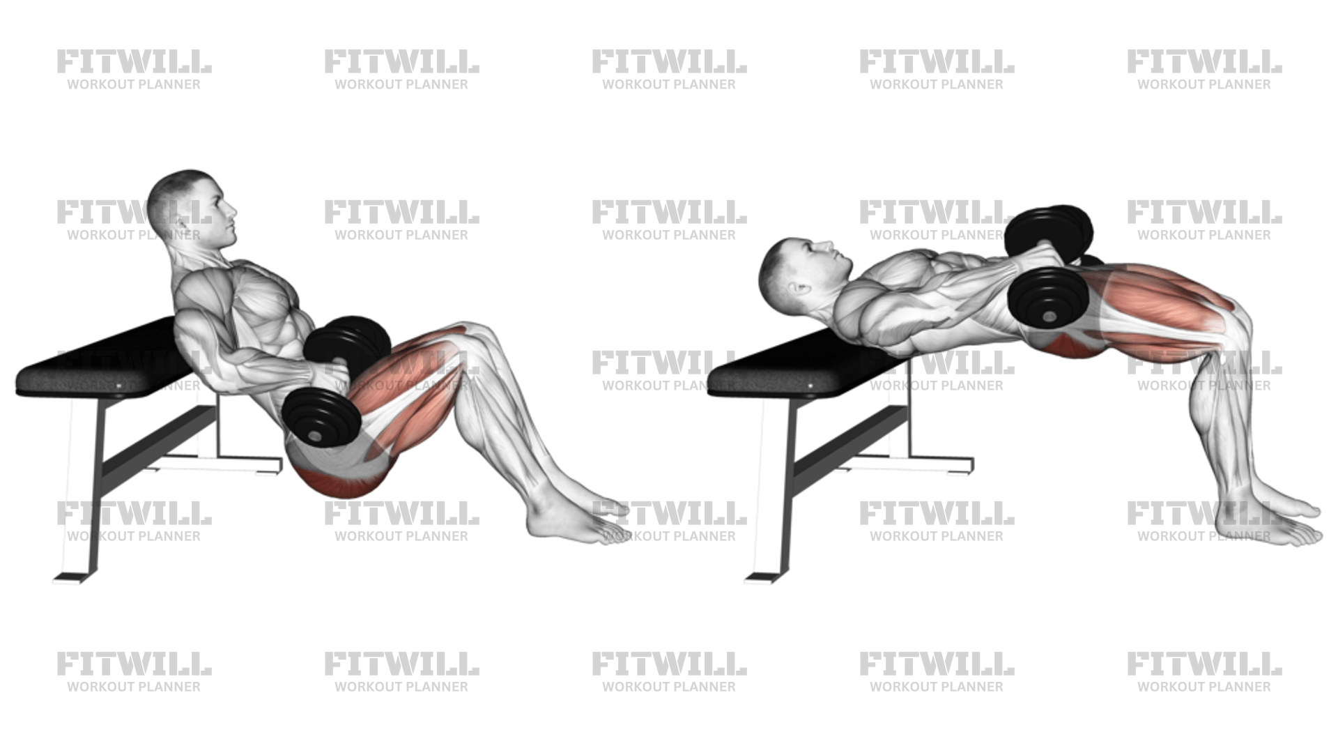 <p>Glutes, hamstrings </p>