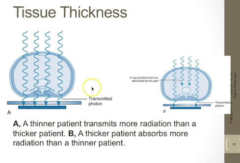 <p>transmits : thinner</p><p>absorbs : thicker </p>