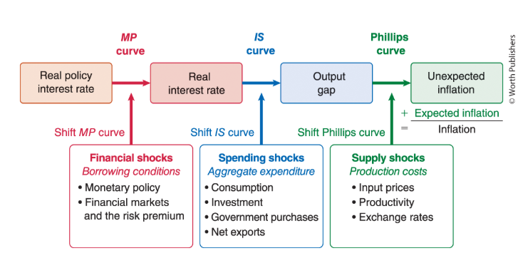 <ul><li><p>1) financial shocks - any change in borrowing conditions that changes the real interest rate at which people can borrow- (shift the MP curve) (interest rates)</p></li><li><p>2) spending shocks - any change in aggregate expenditure at a given real interest rate and level of income - shift IS curve (total spending)</p></li><li><p>3) supply shocks - any change in production costs that leads suppliers to change the prices they charge at any given level of output - shift phillips curve (costs)</p></li></ul><p></p>