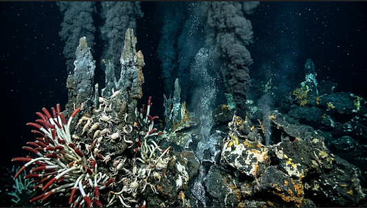 <p>What is the term/concepts being visualized in this image?</p><p>Definition: Submarine hot springs along mid-ocean ridges where heated seawater exits fractures in the oceanic crust.</p>
