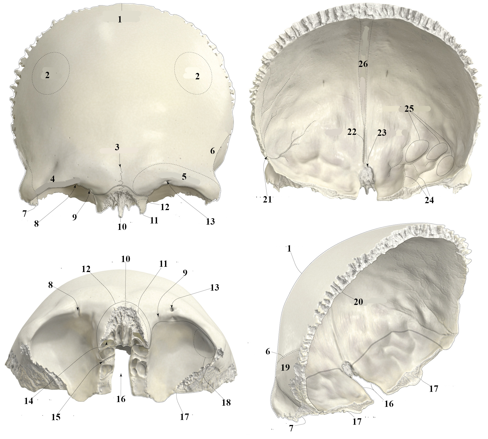 <p>1</p>