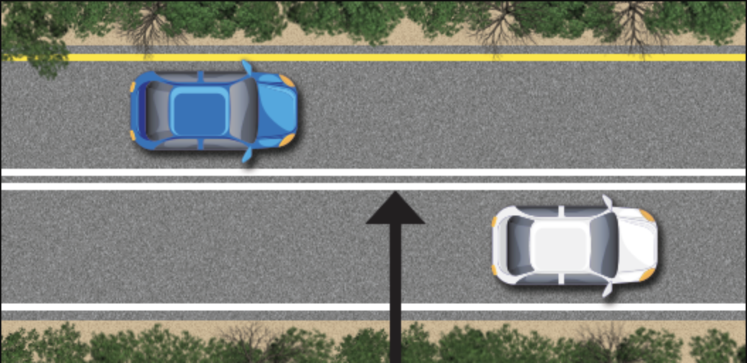 <p>Solid White Lines</p>