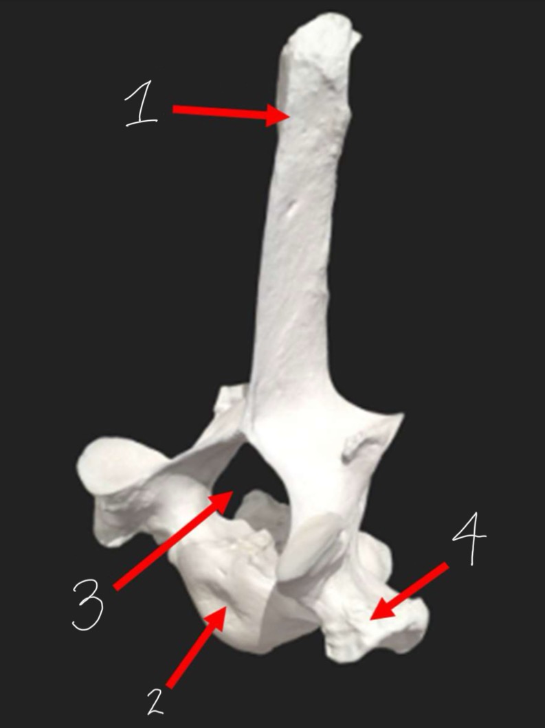 <p>1</p>