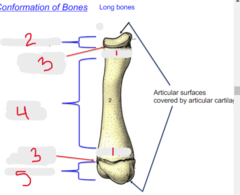 <p>What is #5?</p>