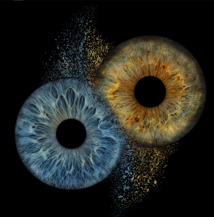 term image