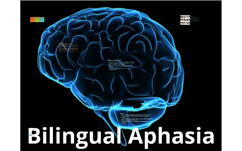 <p>Bilingual Aphasia</p>