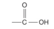 <p>A homologous series of compounds which all contain a —COOH functional group attached to a hydrocarbon chain</p>