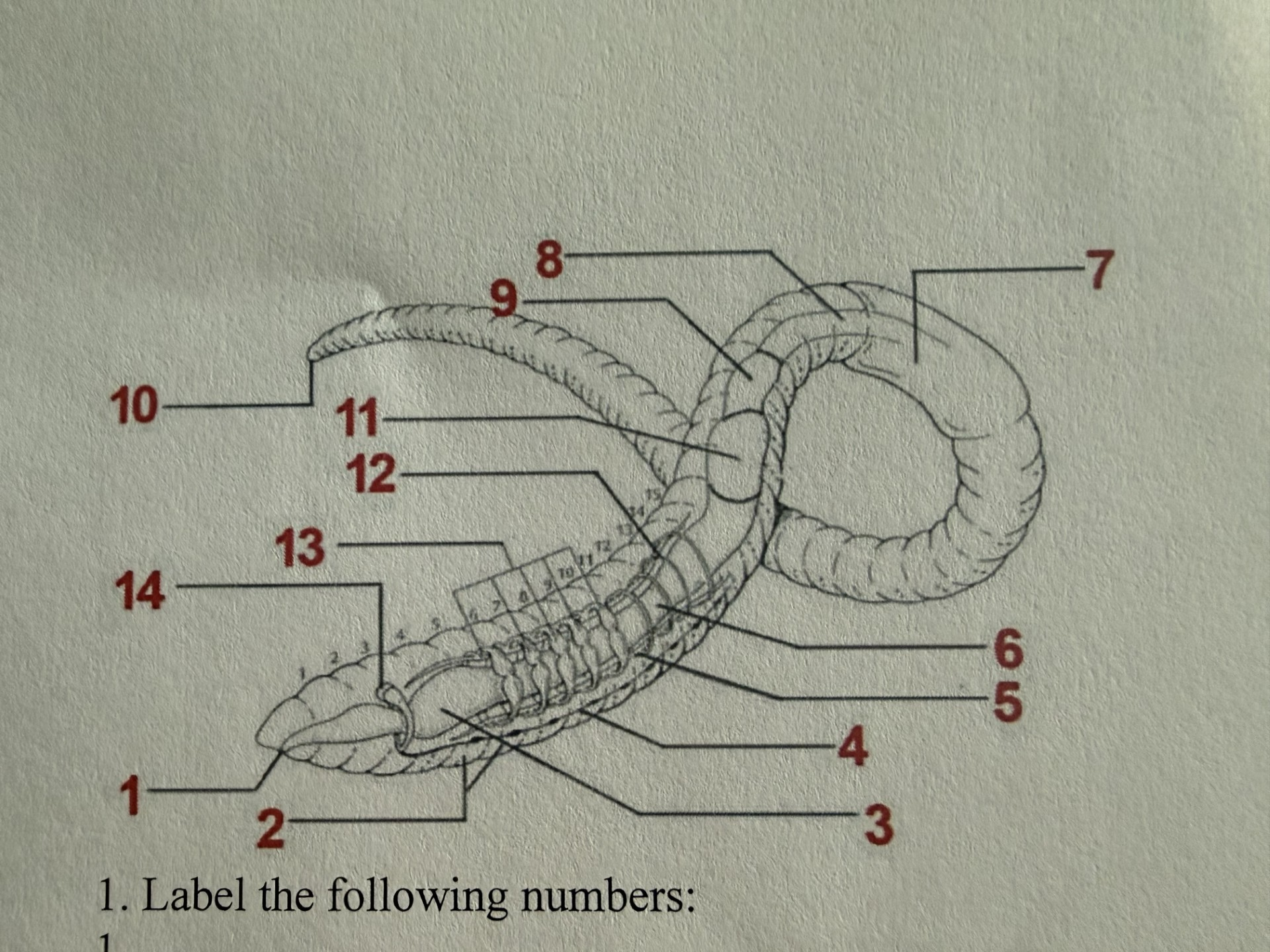 <p>9</p>