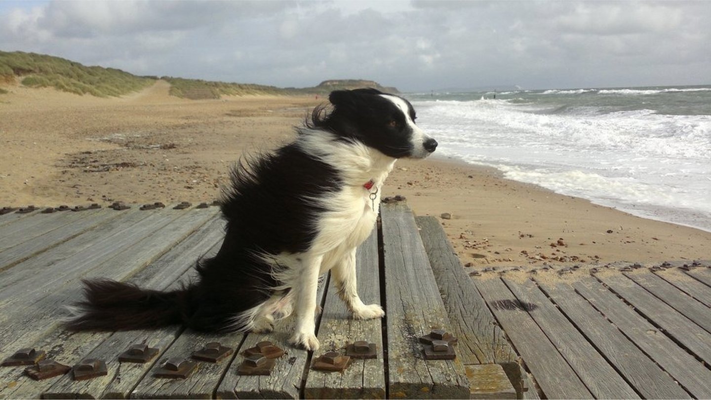 <p>windy</p>