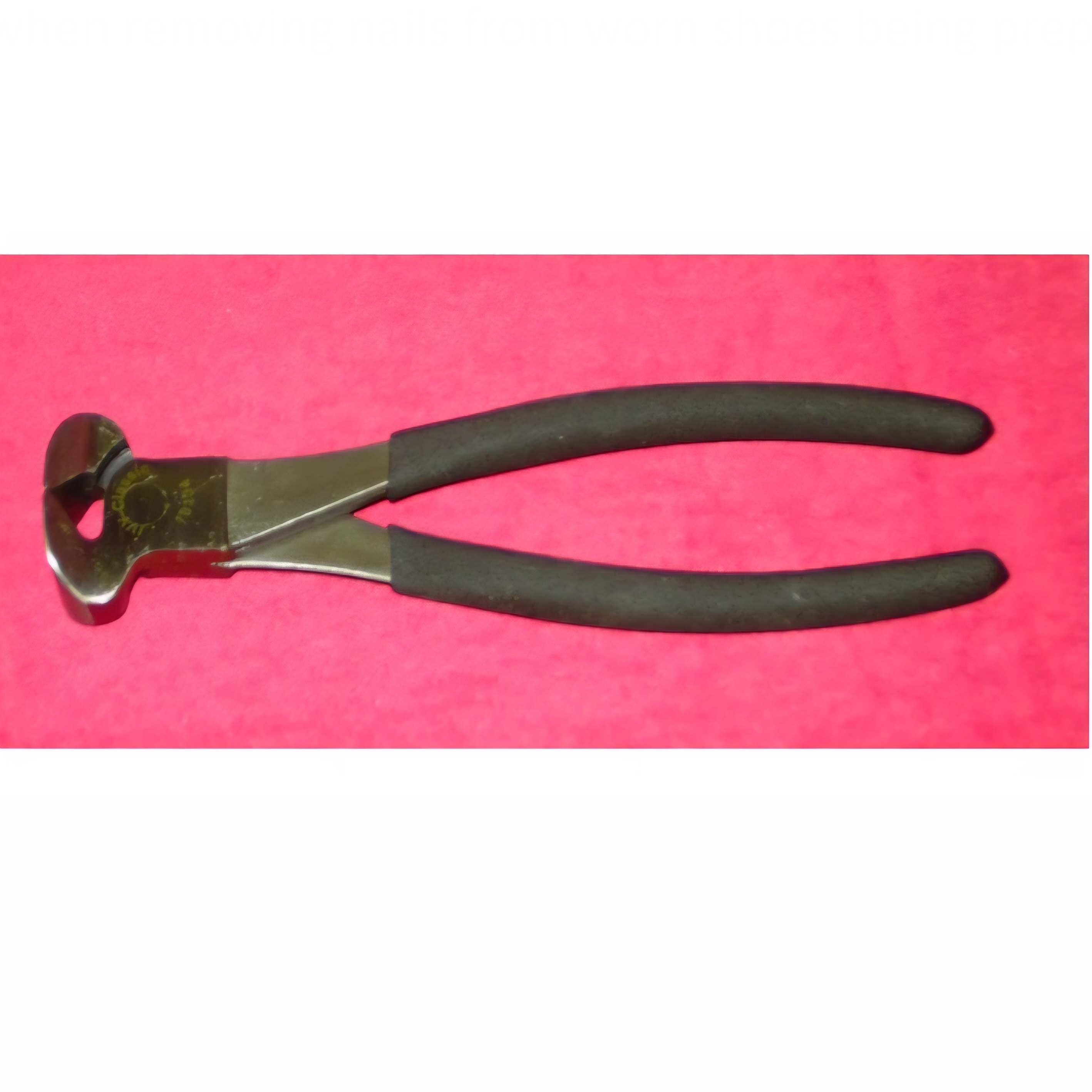 <p>nail cutters or nail nippers</p>
