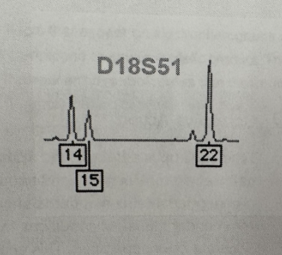 <p>Identify 3-peak patterns</p>