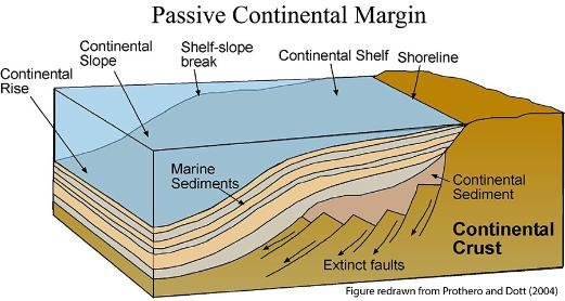 <p>What features are common at a passive margin?</p>