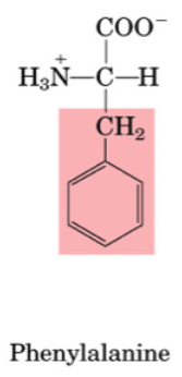 <p>•Essential</p><p>•Used to make Tyrosine</p>