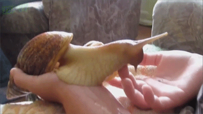 <p>Urban sprawl </p>