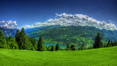 <p>la naturaleza</p>