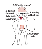 <p><span style="line-height: 115%;">Planning and visualising processes and knowledge.</span></p>
