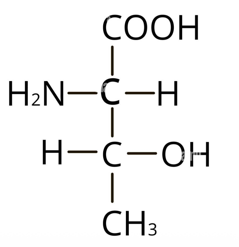 <p>what amino acid</p>