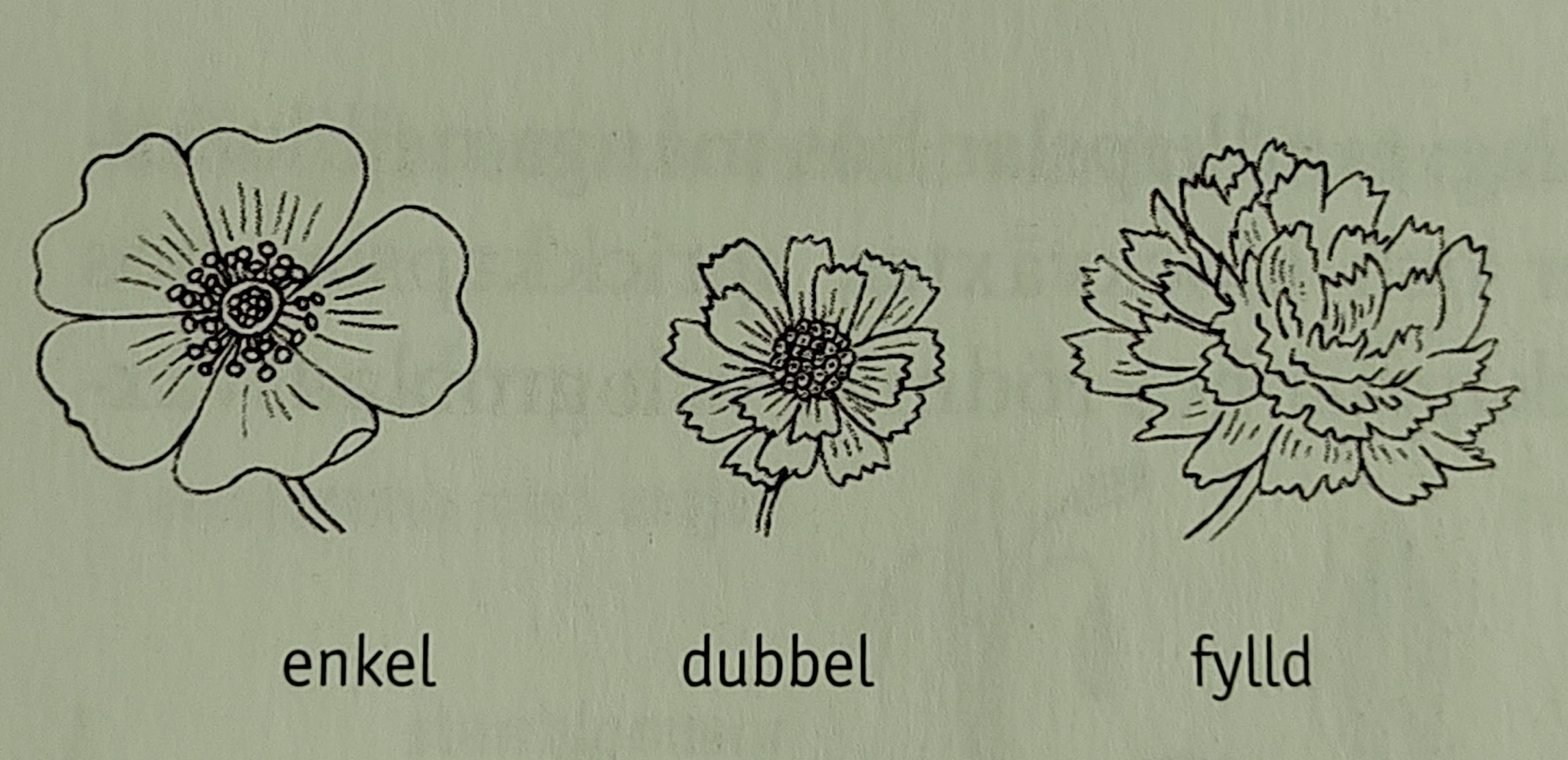 <p></p>