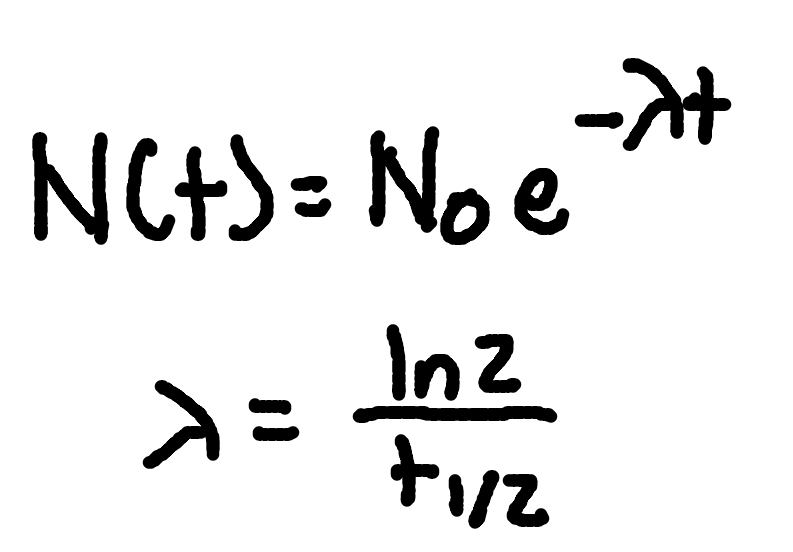 <p>where</p><p>N(t) = number of nuclei at time t</p><p>N0 = initial number of nuclei (i.e. at t = 0)</p><p>lambda = “decay constant” (related to t1/2 by lambda = ln2/t1/2)</p>