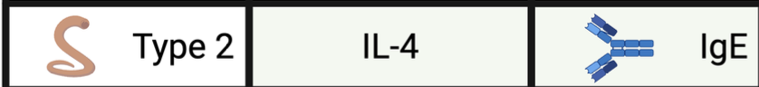 <p>targets IgE isotype </p>