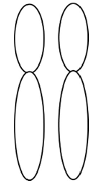 <p>a pair of identical DNA, helices held together by proteins</p>