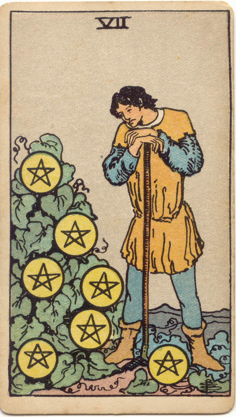 <p>Seven of Pentacles</p>