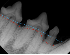 <p>What does the blue line represent?</p>