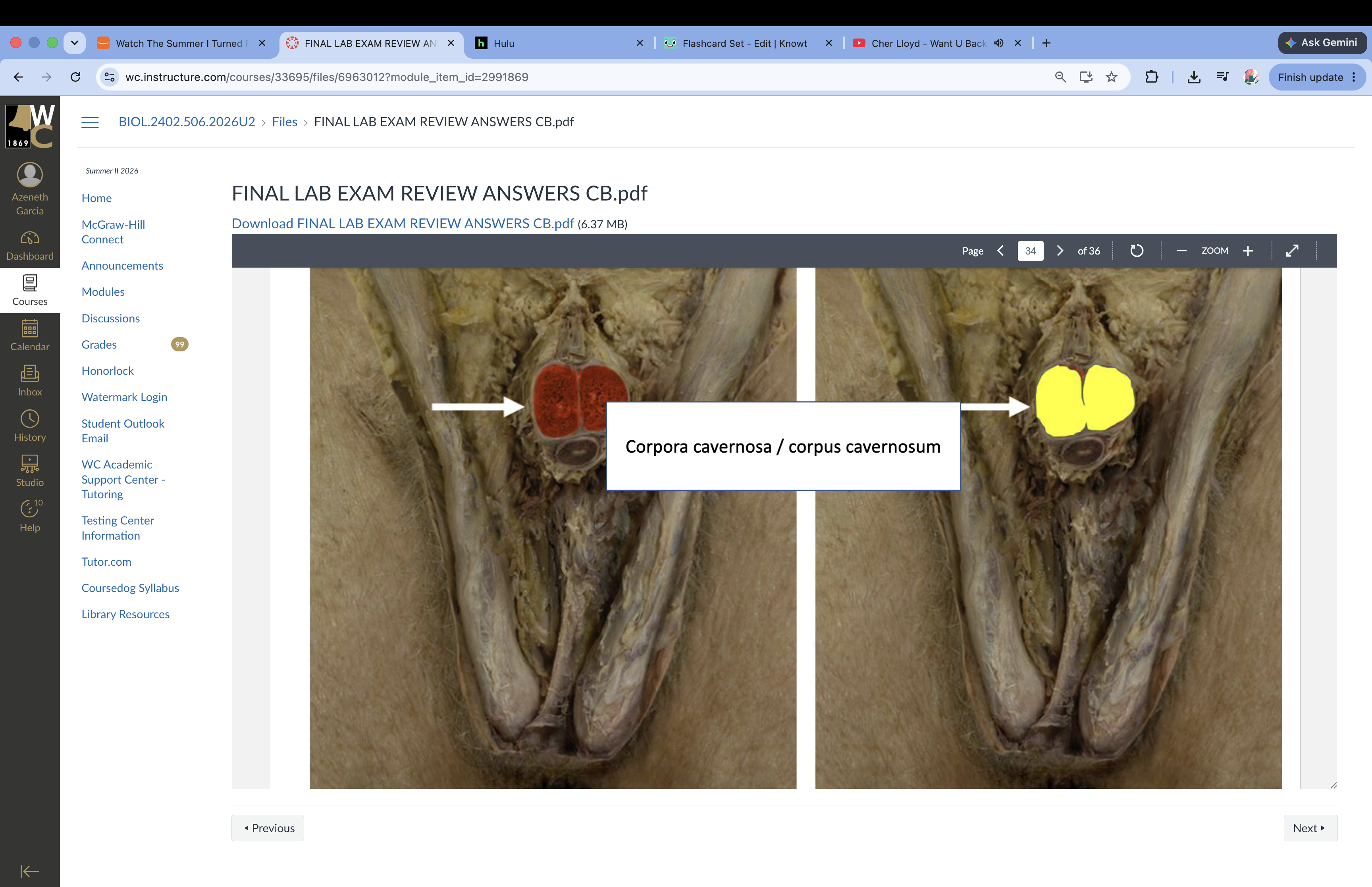 knowt flashcard image