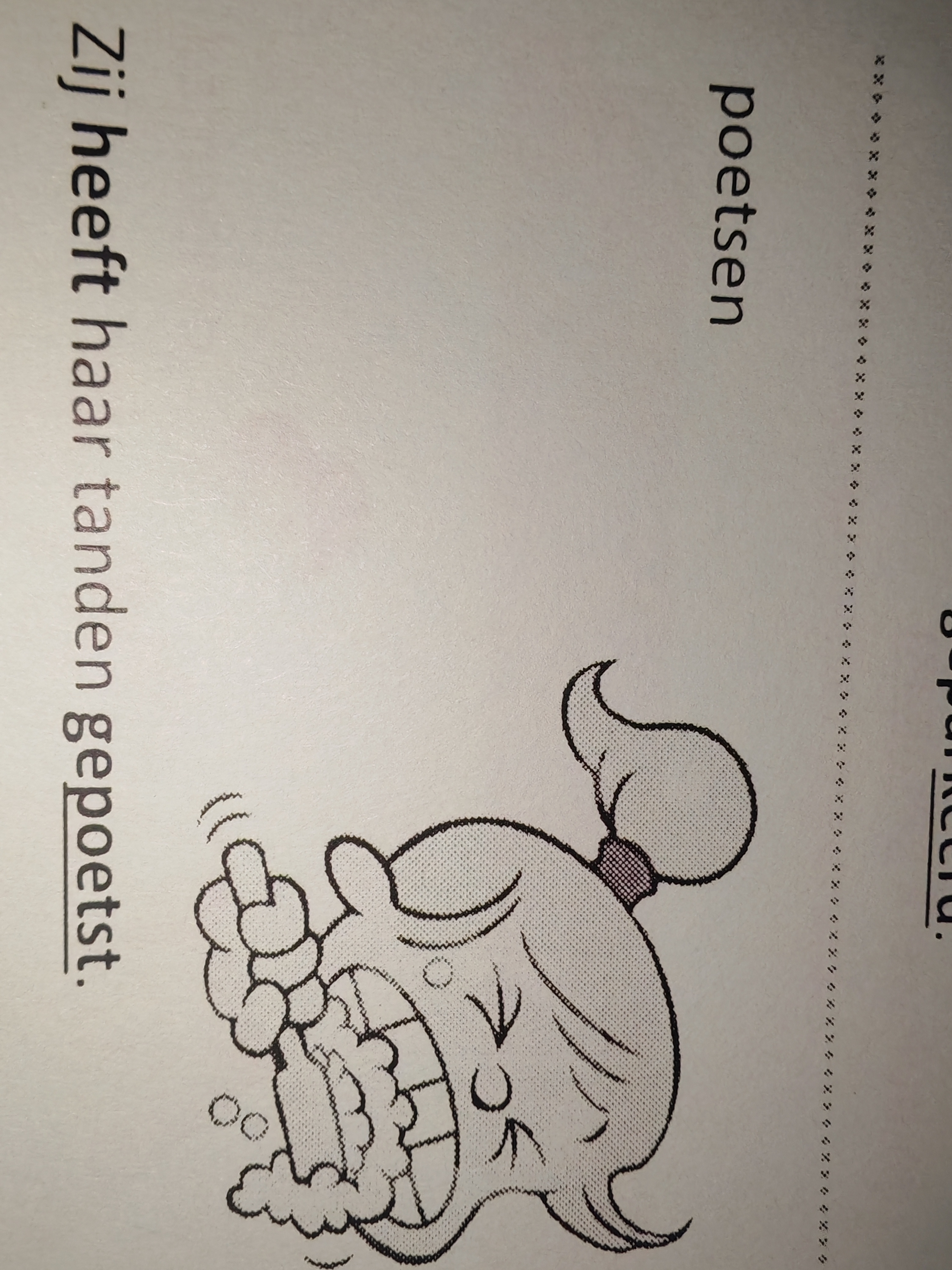 <p>Poetsen - GEpoetst</p>