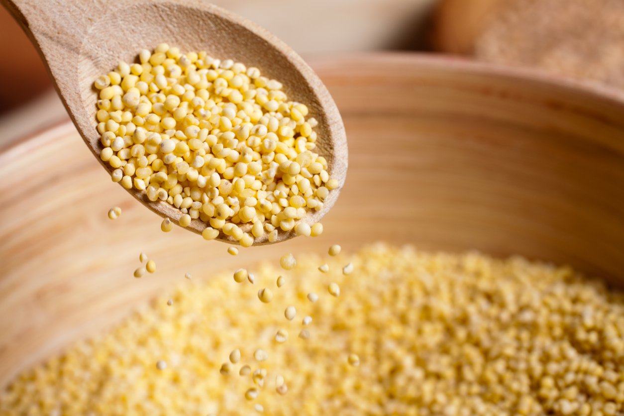 <p>Millet</p>