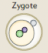 <p>What type of cell is this</p>