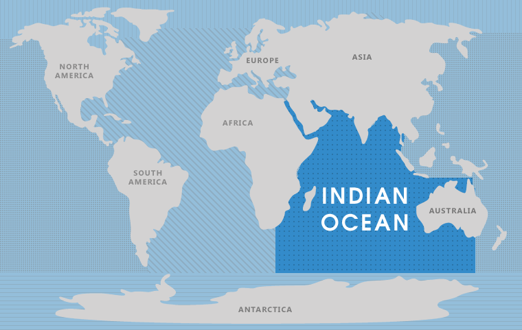 <p>Indian </p>