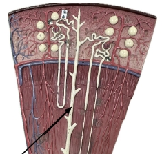 <p>name the parts</p>