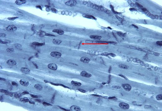 <p>identify this</p>