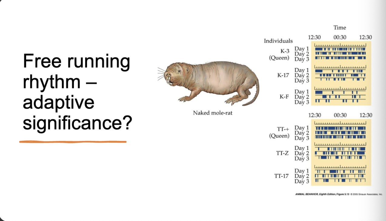 <p>explain this </p>