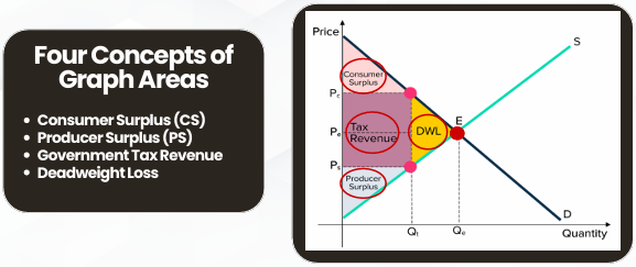 <ul><li><p>Before Tax</p><ul><li><p>Quantity</p></li><li><p>Price</p></li><li><p>Demand Curve</p></li><li><p>Supply Curve</p></li><li><p>Equilibrium</p><ul><li><p>Equilibrium Quantity</p></li><li><p>Equilibrium Price</p></li></ul></li></ul></li><li><p>After Tax</p><ul><li><p>Price paid by Consumer</p></li><li><p>Price received by Suppliers</p></li><li><p>Quantity after Tax</p></li></ul></li></ul><p></p>