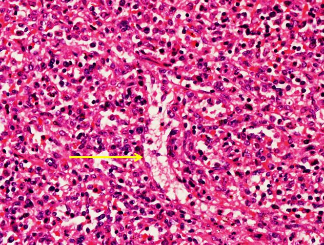 <p>Cấu trúc gì ?</p>