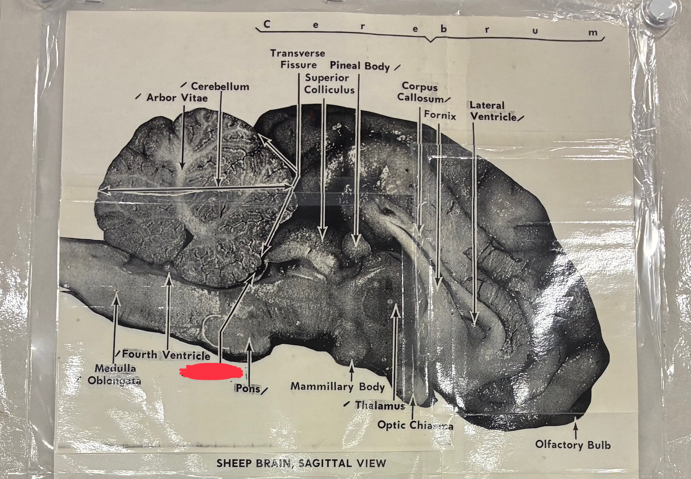 <p>?</p>