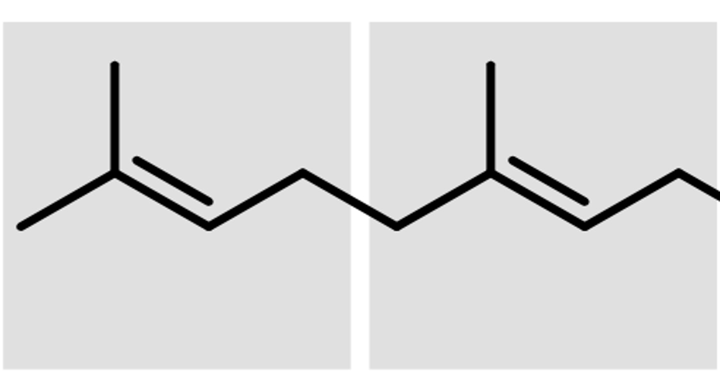 <p>C10H6</p><p>two isoprene units</p><p>abundant in essential oils and turpentine</p>