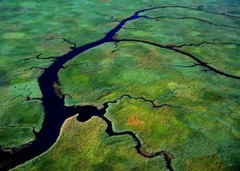 <p>A river or stream flowing into a larger river or lake</p>