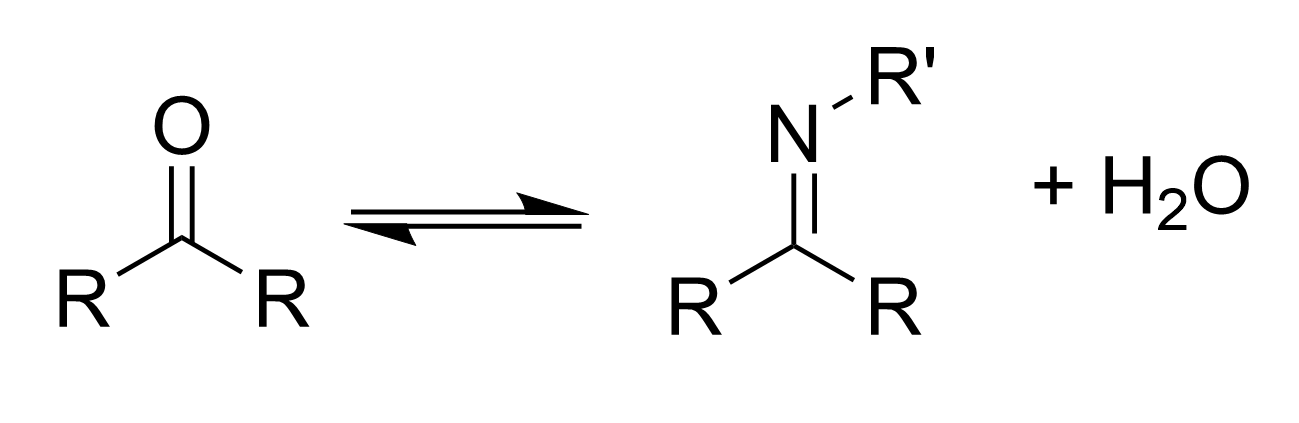 <p></p>