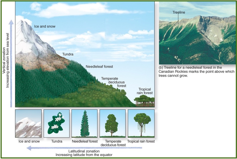 <p>A abiotic component of an ecosystem that inhibits some biotic operations by affecting certain species. They also affect the biogeography of places. Examples include: </p><p>Temperatures below freezing </p><p>High salinity levels of water </p><p>Low nutrient content of the soil.</p>